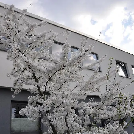 Moderne Mit Terrasse, Nahe Koln, Messewohnung * بولهايم